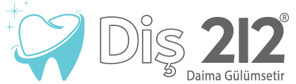 Dis212Atakent